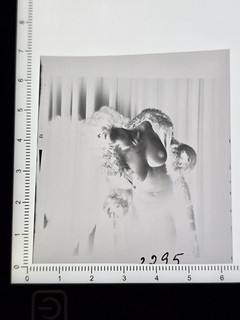 Artistic NUDE Original Photo Negative No.45 Woman Lady Maid Nude NUDE (6x6)