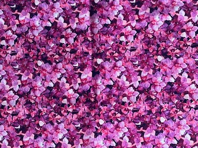 Patchworkstoff von QT fabrics, 35 x 110 cm, 100% Baumwolle, neu