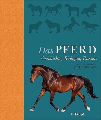 Das Pferd Debbie Busby