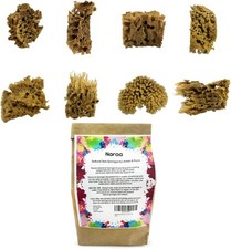NAROA Artist Natural Sea Sponges for Painting 8 Pack  Shades of Brown