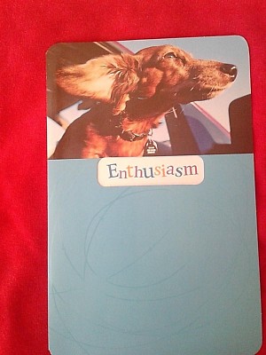 GRADUATION CARD~ LABRADOR DOG&rsquo;S HEAD STICKING OUT 