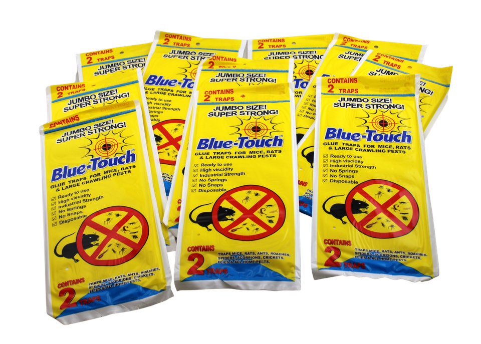 Jambobrat Raps 20 Jumbo Rat & Mouse Glue Traps – 10 Packs of 2 Sticky Pest Catcher ...
