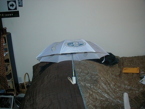 VINTAGE UNUSED? SLIGHTLY USED? AMTRAK COAST STARLIGHT UMBRELLA - 第 1/9 張圖片