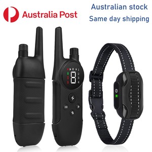 dog ed training collar