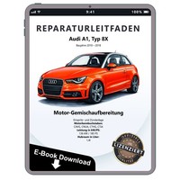 Audi A1 8X 2010-2018 Benzin Einspritz ZüNdanlage 185 Ps Reparaturleitfaden Ebook