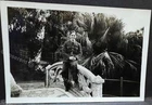 WW2 Egypt RAF C/pl Michael James Green at Heliopolis Zoo 1942 photo 9 by 6cm