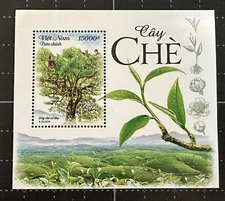 Vietnam 2024 International Tea Day Stamps Mint Nature Flower Mini Sheet S/S