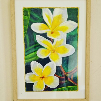 Original Aquarell Gemälde signiert gerahmt DIN A4 gelb Frangipani Blumen