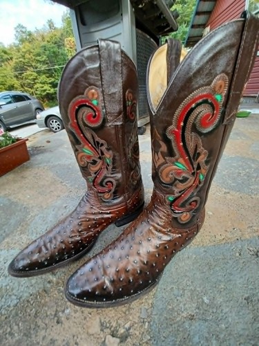 Custom Painted Ostrich Cowboy Boots