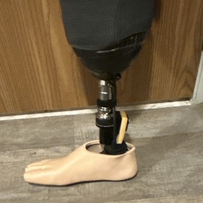 Prosthetic Lower Leg Limb with Foot Shell and Foot/Ankle Assembly left