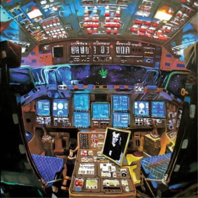 Damaged Bug Hubba Bubba 12'' Album