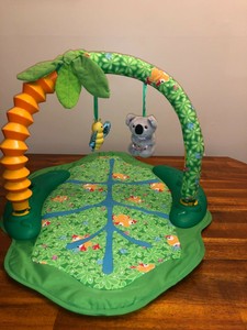 baby jungle exersaucer