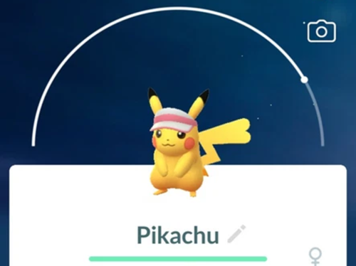 Pikachu Costume Theme Exclusive Festival Limited Edition Pokemon Event Go - Picture 20 of 20