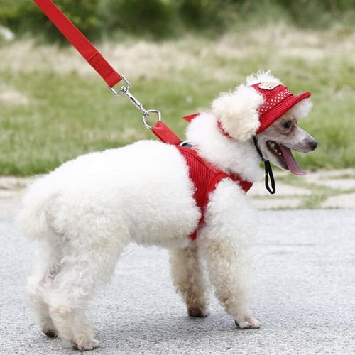 Dog Bonnet Dog Outdoor Hat With Ear Hole Round Brim Summer Dog