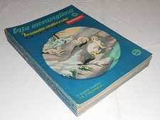 VITA MERAVIGLIOSA  50/79   Ed. Vita Meravigliosa  1956 !!!!!! 
