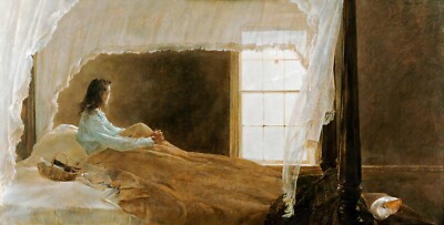 Andrew Wyeth: Chambered Nautilus 22x30 Archival Quality Fine Art Print