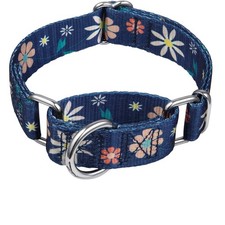 Dazzber Floral Martingale Dog Collar - No Pull, Heavy Duty, Large Breeds
