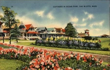 Oak Bluffs,MA Cottages Ocean Park Tichnor Dukes County Linen Vintage Postcard PC