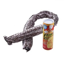 Hallowen Magic Snack Chips Can Flexible Spring Snake Trick Joke Gag Toy Kids A