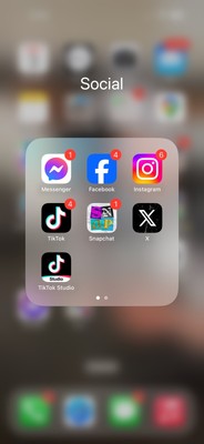 iphone 16 pro max with Tik Tok | Desert Titanium | Rare color
