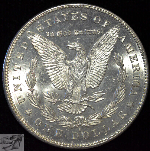 1878 S Morgan Dollar, Brilliant Uncirculated Proof Like Condition, White, C6067 - Picture 4 of 4