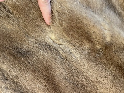 JONCLIF New York Vintage MINK Collar Coat-GORGEOUS - Picture 7 of 11