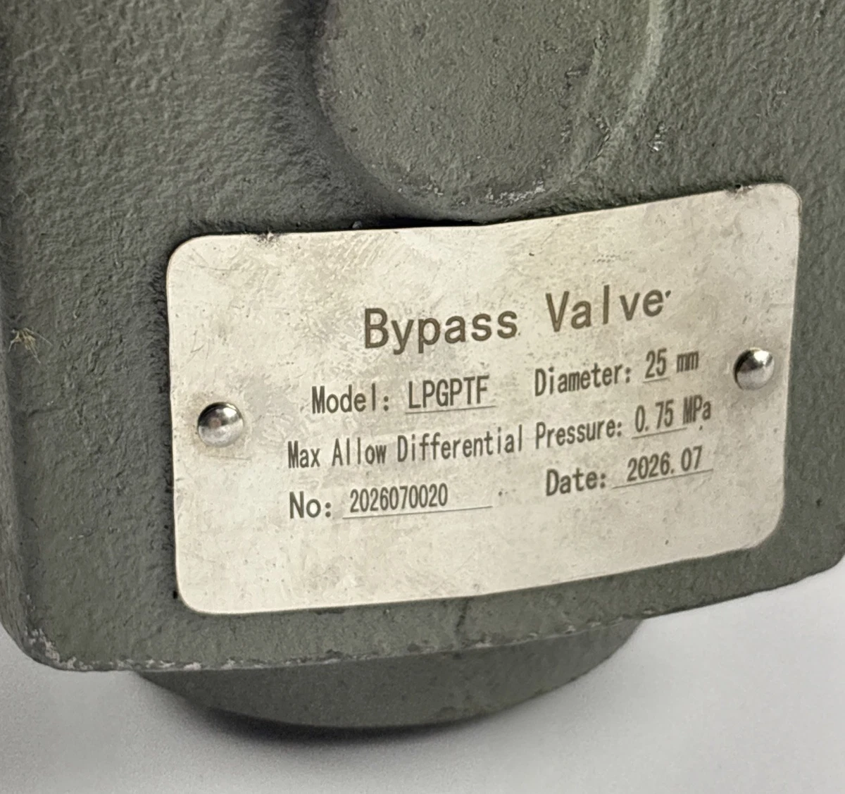 LPGPTF LPG Bypass Valve 25mm 0.75 MPa Differential Pressure photo 3