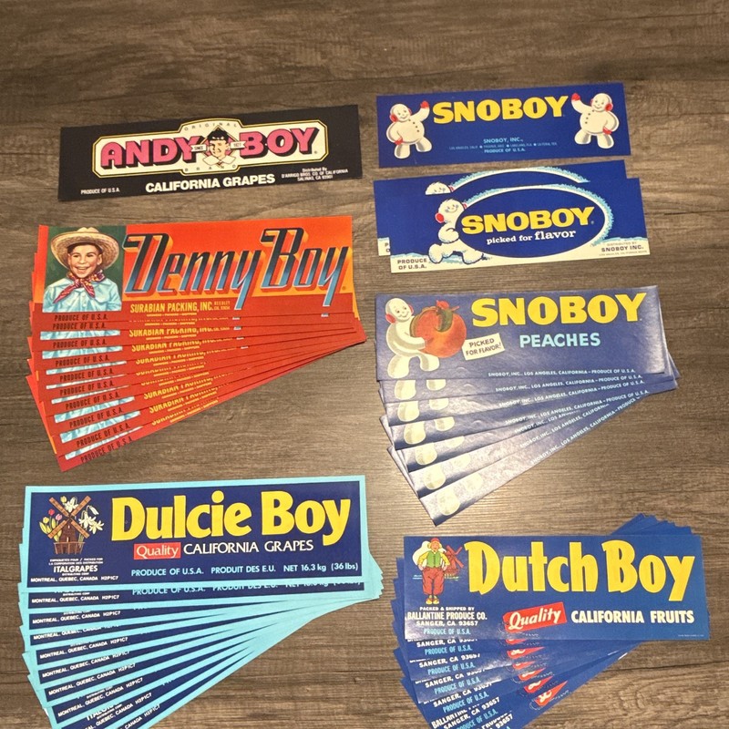 Andy Boy Denny Boy Dulcie Boy Dutch Boy Snoboy Vintage Fruit & Raisin Labels Lot