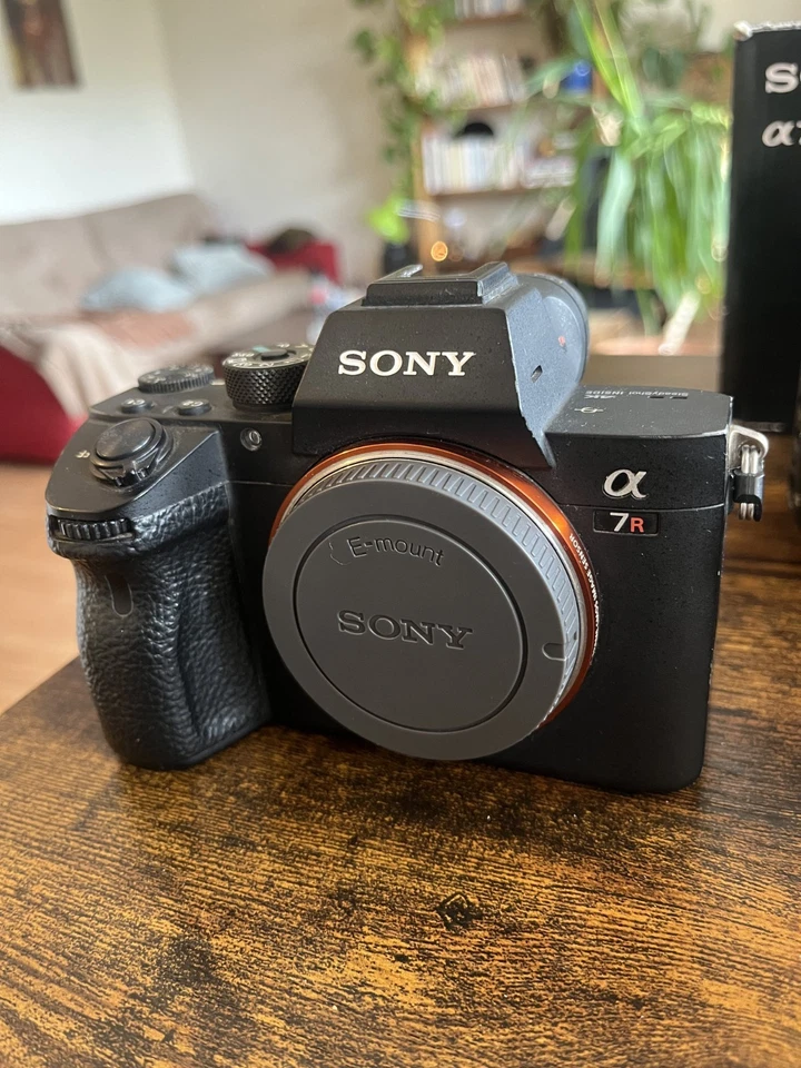 Sony Alpha 7R III, photo 3 sur 5