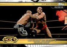 Lars Sullivan/Ricochet 2019 Topps WWE NXT Card #27