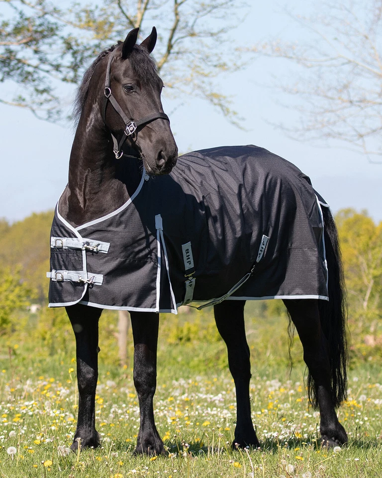 QHP Turnoutdecke Big Neck Regendecke Kaltblut, Barockrassen o. Füllung schwarz - Bild 2 von 2