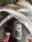 Foto 8 di 9