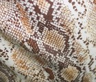 Susan Bristol Womens Sz 4 Pant Brown Snake Animal Print Stretch Pencil Mid Rise — photo 2