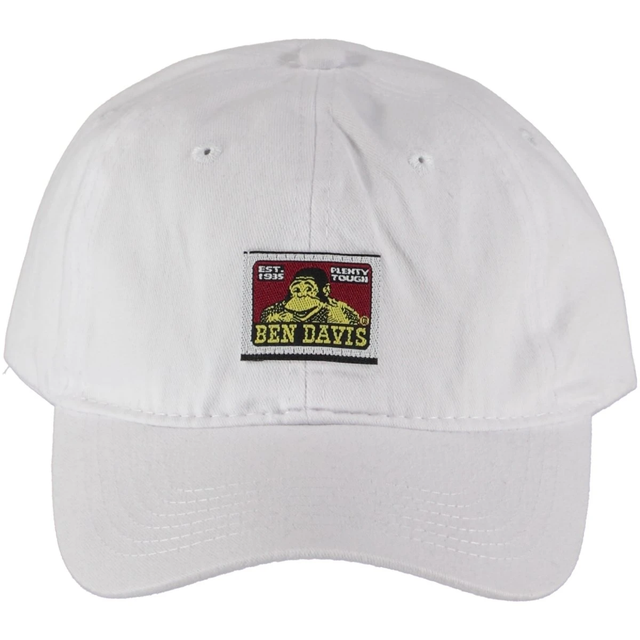ben davis trucker hat