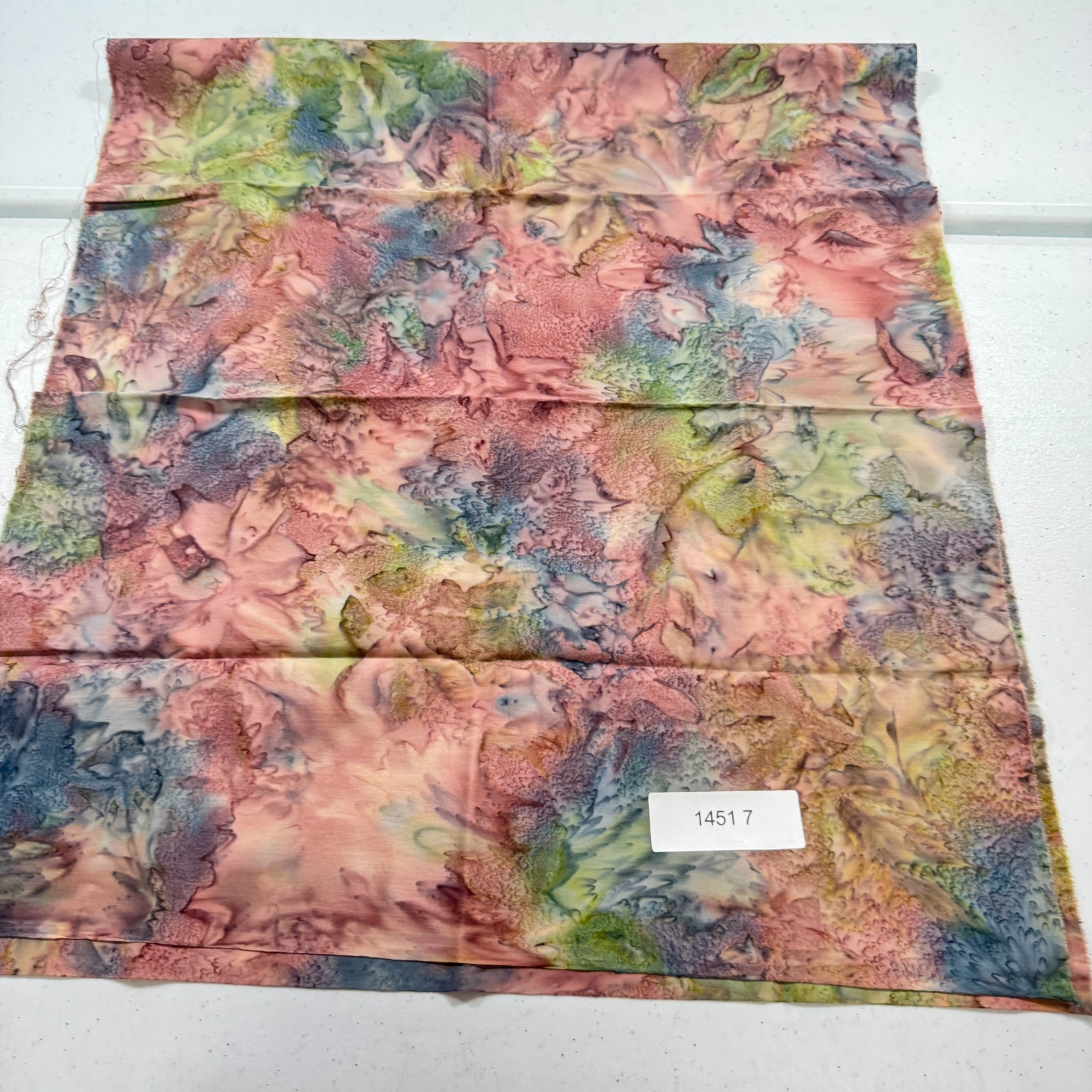 Picture 6 of 6