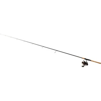 Daiwa Combo BG INSHORE Spinning 701M 2,13m 10-60g Spinrute + BG 3000 Rolle Set