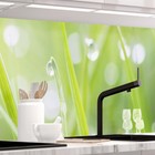 Küchenrückwand - MODERN GRASS - 1.8mm, versteift, alle Untergründe, Hartschicht