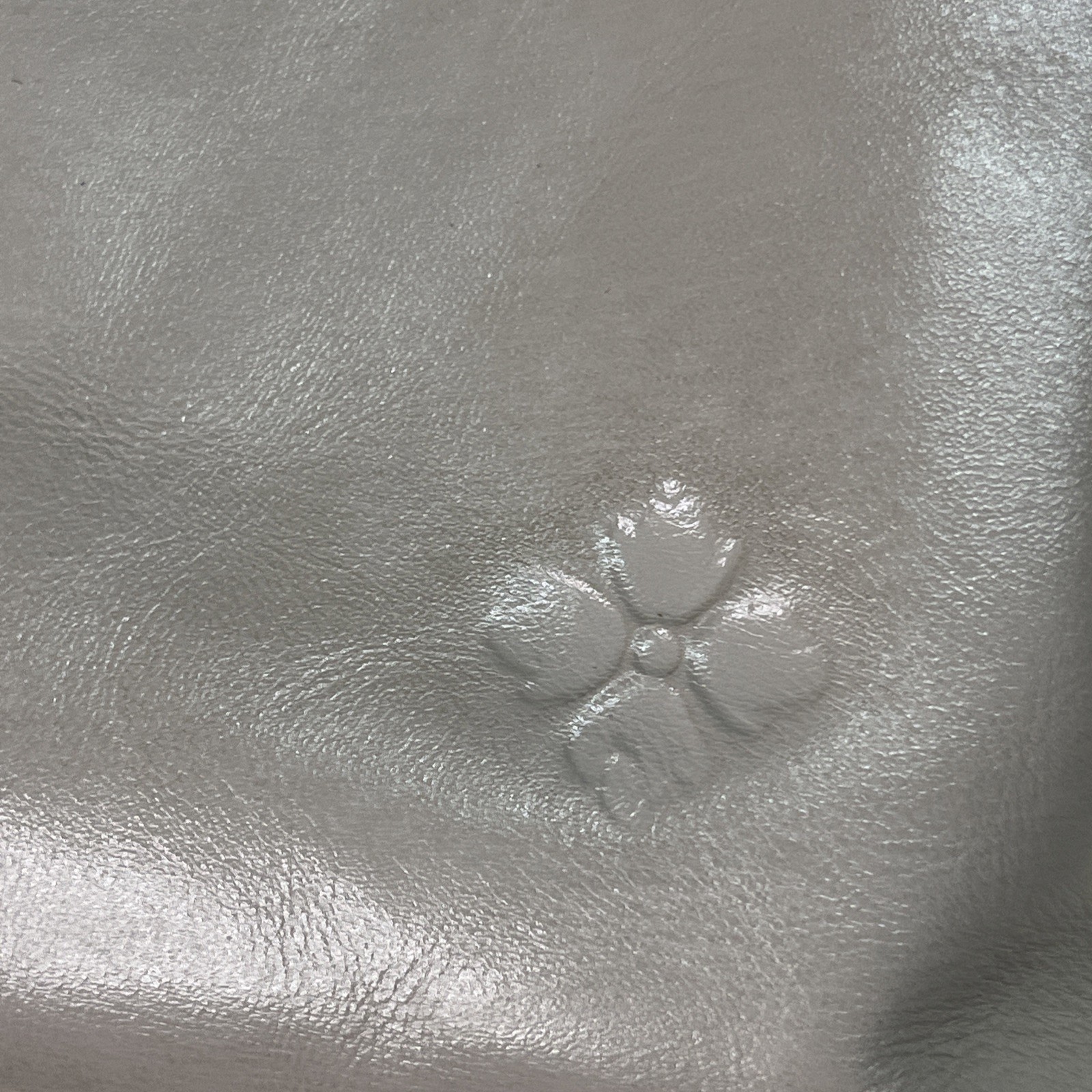 Picture 5 of 13