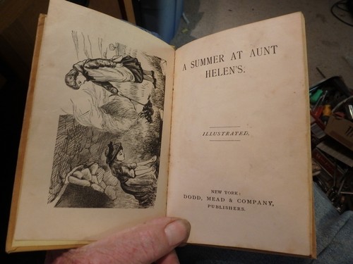 3A -Vintage 1890 embossed hardback book- "A Summer at Aunt Helen's"-46 pages - Bild 2 von 5