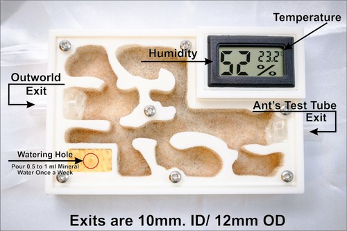 Ant Nest Bio Formicarium Ant Farm Kit Complete A6 Ants Setup Best Ants UK - Picture 5 of 8