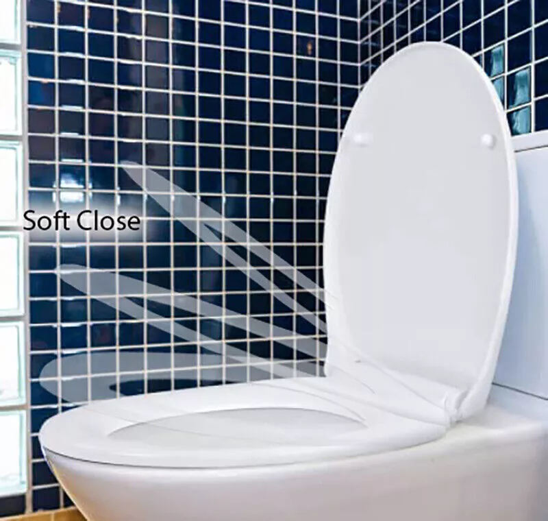 Blue and white toilet seat sale