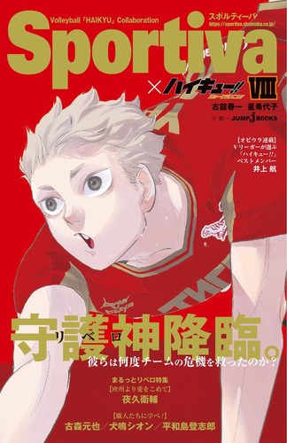 Haikyuu Novel Limited Sportiva Version Complete Set 13 & 13 Book Covers Included - Picture 5 of 16