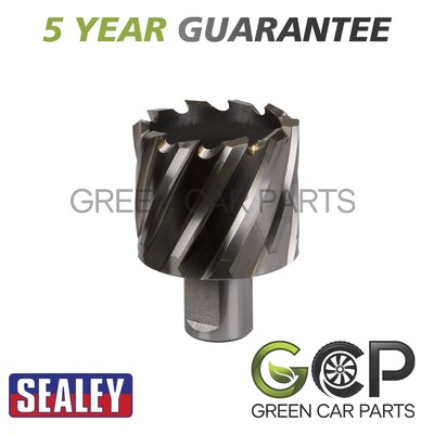 Sealey Worksafe �� 45 mm HSS Mag Bohrer Schnitttiefe 25 mm RBHSS45S