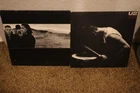 U2 THE JOSHUA TREE ALBUM AND DESIRE 12" SINGLE !