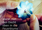 Bild 22 von 23