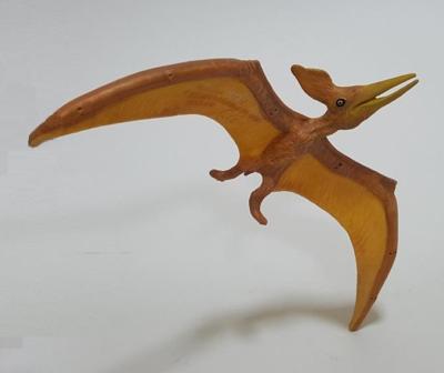 Dinosaur (Pteranodon) model