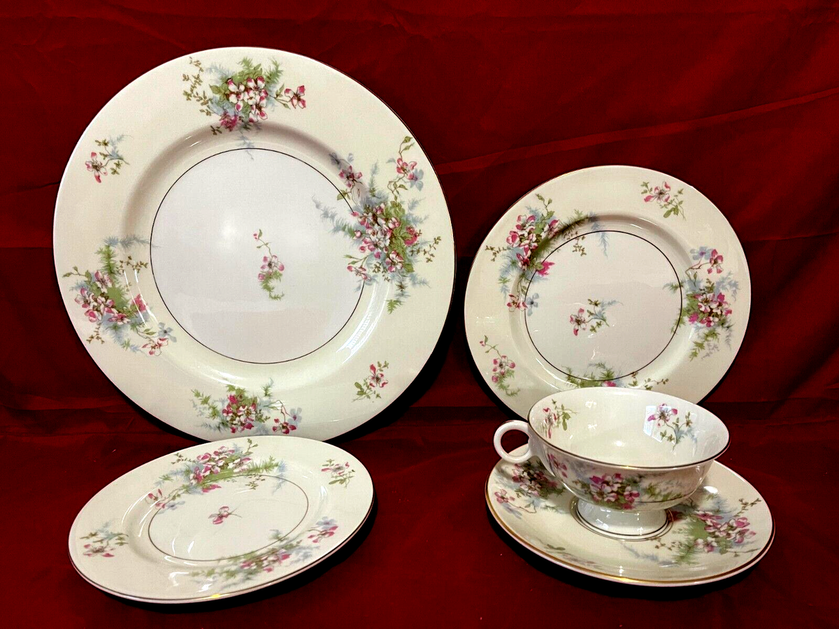 Theodore Haviland Apple Blossom (5 Piece Place Setting) | eBay
