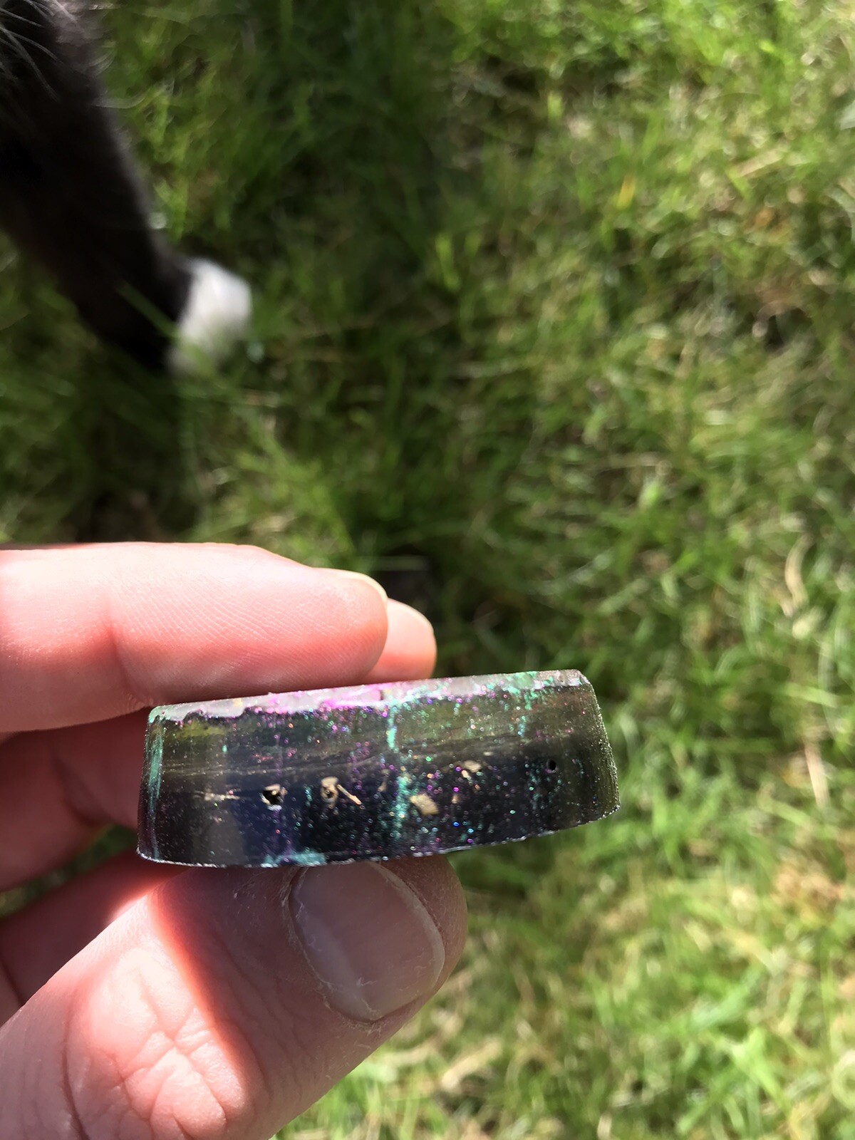 Picture 5 of 5