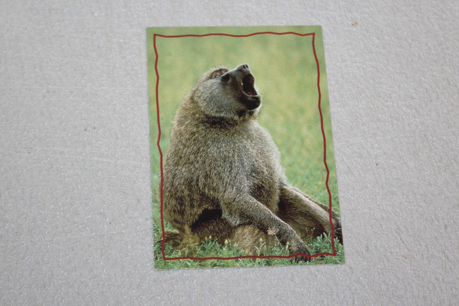 Picture 63 of 79