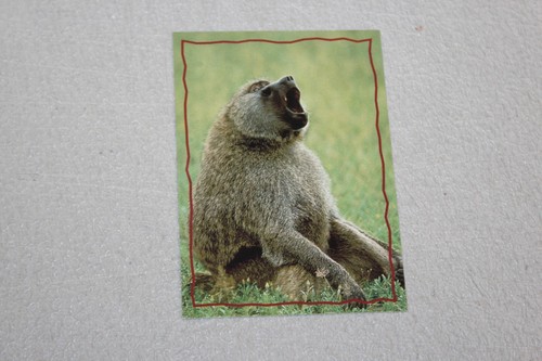 Skybox The Lion King Trading Card Complete Finish Fill Your List Set U-Pick - Picture 63 of 79